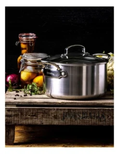 Greenpan Premiere 24cm Stainless Steel Covered Stockpot -Greenpan Shop 794393920 3 3 720x928