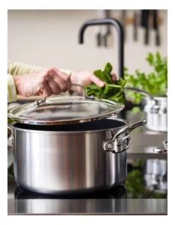Greenpan Premiere 24cm Stainless Steel Covered Stockpot -Greenpan Shop 794393920 5 1 720x928